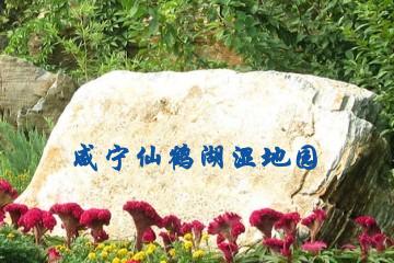 咸宁仙鹤湖湿地园